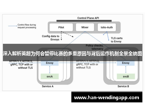 深入解析英超为何会暂停比赛的多重原因与背后运作机制全景全貌图