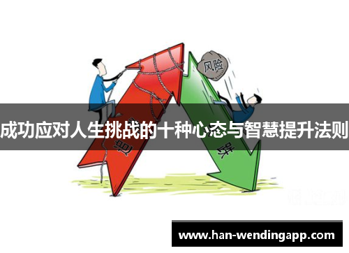 成功应对人生挑战的十种心态与智慧提升法则 成功应对人生挑战的十种心态与智慧提升法则