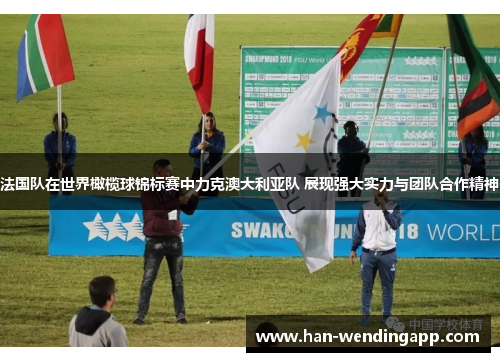 法国队在世界橄榄球锦标赛中力克澳大利亚队 展现强大实力与团队合作精神