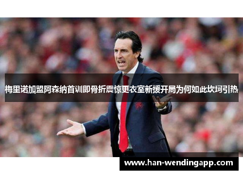梅里诺加盟阿森纳首训即骨折震惊更衣室新援开局为何如此坎坷引热