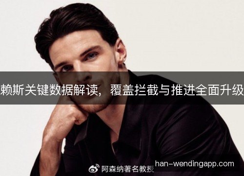 赖斯关键数据解读,覆盖拦截与推进全面升级 赖斯关键数据解读,覆盖拦截与推进全面升级